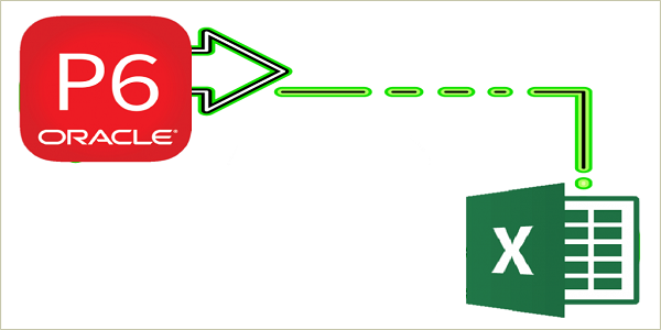 color WBS level Primavera P6 export to Excel