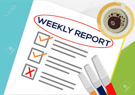 project weekly report-